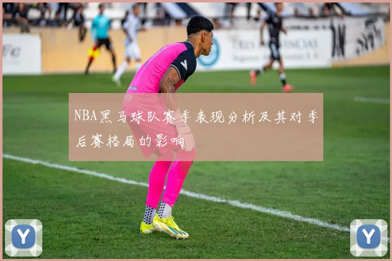 NBA黑马球队赛季表现分析及其对季后赛格局的影响