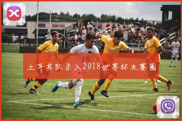 土耳其队杀入2018世界杯决赛圈