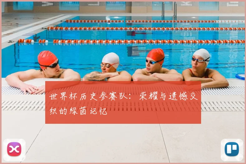 世界杯历史参赛队：荣耀与遗憾交织的绿茵记忆