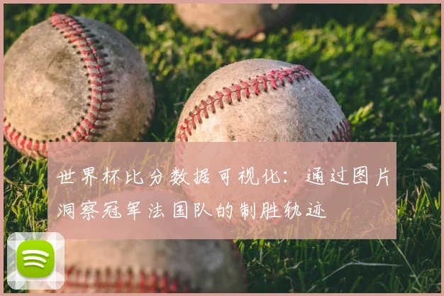 世界杯比分数据可视化：通过图片洞察冠军法国队的制胜轨迹