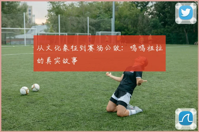 从文化象征到赛场公敌：呜呜祖拉的真实故事