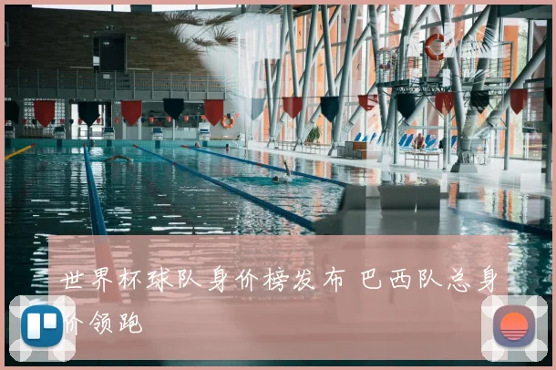世界杯球队身价榜发布 巴西队总身价领跑