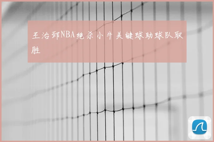 王治郅NBA绝杀小牛关键球助球队取胜