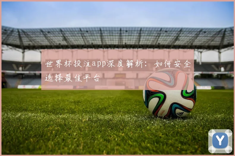 世界杯投注app深度解析：如何安全选择最佳平台