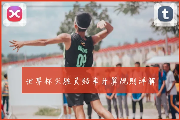 世界杯买胜负赔率计算规则详解