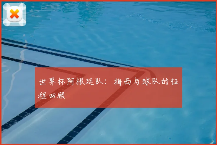 世界杯阿根廷队：梅西与球队的征程回顾