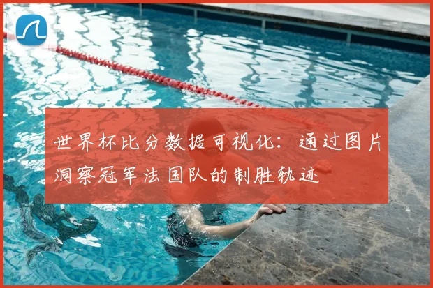 世界杯比分数据可视化：通过图片洞察冠军法国队的制胜轨迹