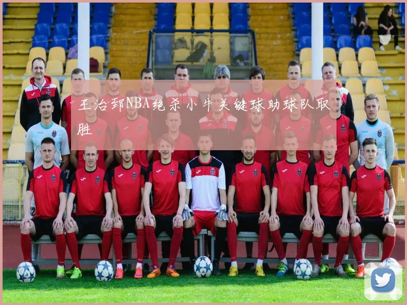 王治郅NBA绝杀小牛关键球助球队取胜