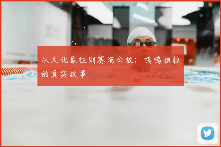 从文化象征到赛场公敌：呜呜祖拉的真实故事