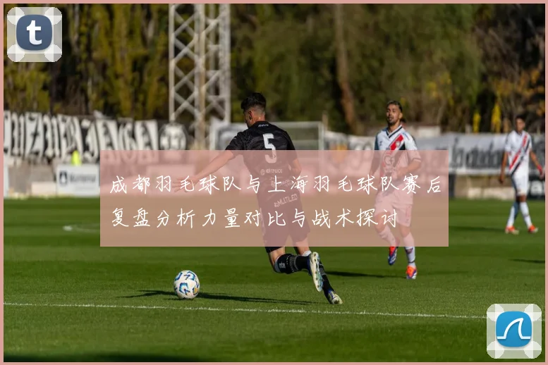 成都羽毛球队与上海羽毛球队赛后复盘分析力量对比与战术探讨