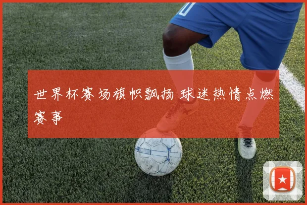 世界杯赛场旗帜飘扬 球迷热情点燃赛事