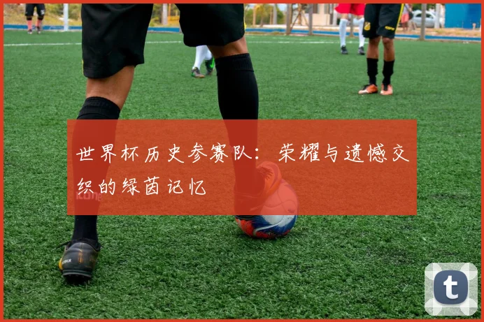 世界杯历史参赛队：荣耀与遗憾交织的绿茵记忆